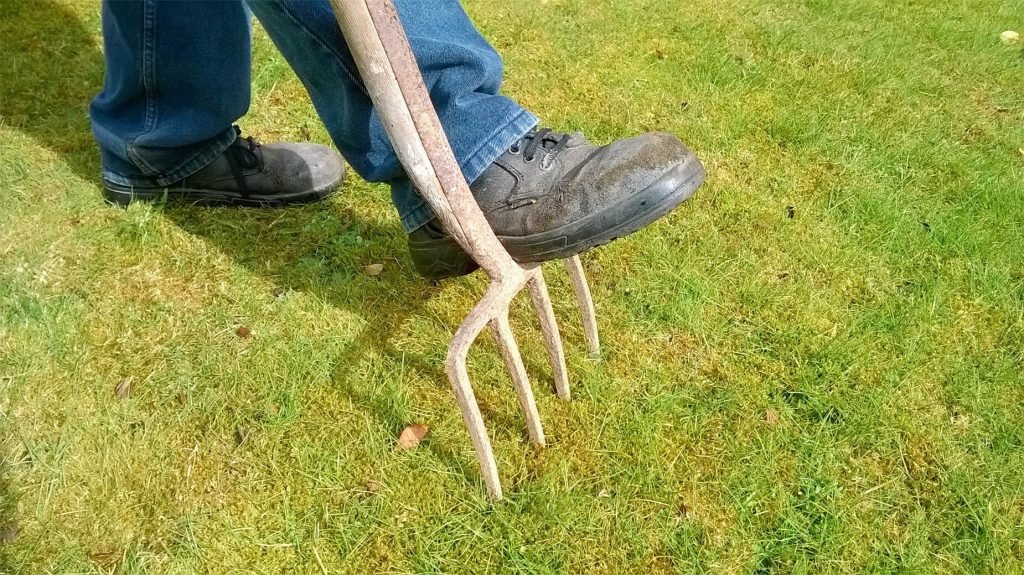Aerate Your Lawn