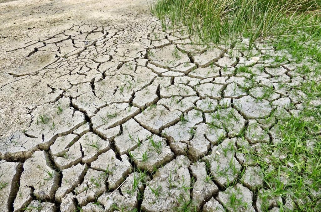 Care Your Lawn in Dry Conditions
