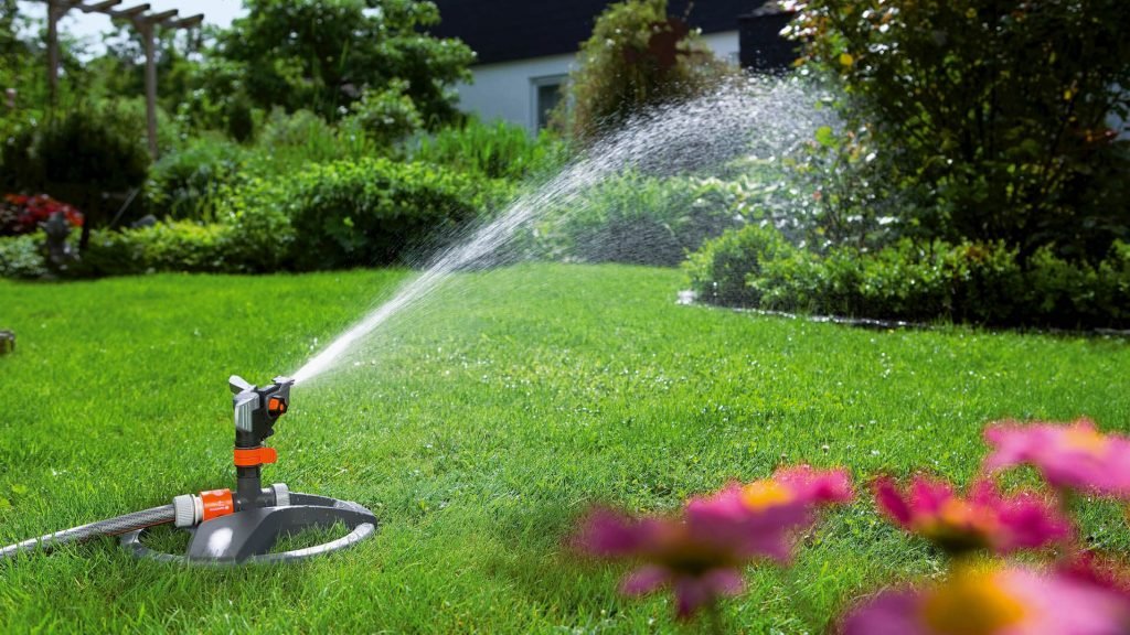 Tips for Watering Your Lawn